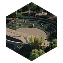 Community Areas